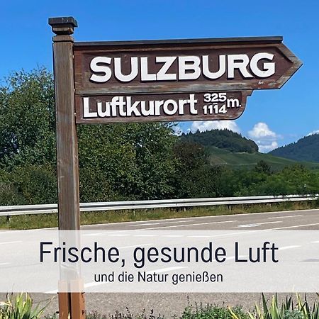 Ferienwohnungen Auszeit Langmatt ซูลซ์บูร์ก ภายนอก รูปภาพ
