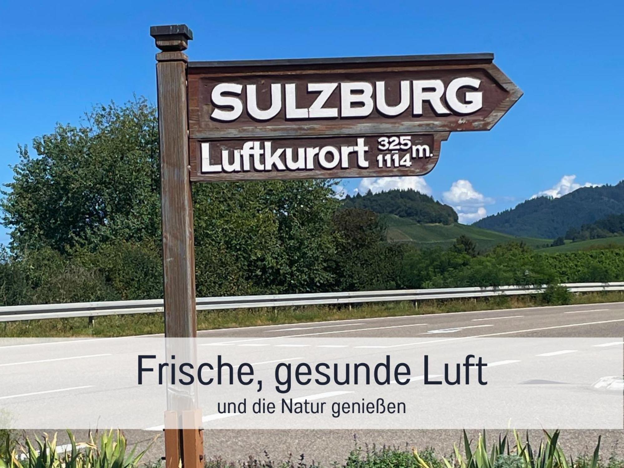Ferienwohnungen Auszeit Langmatt ซูลซ์บูร์ก ภายนอก รูปภาพ