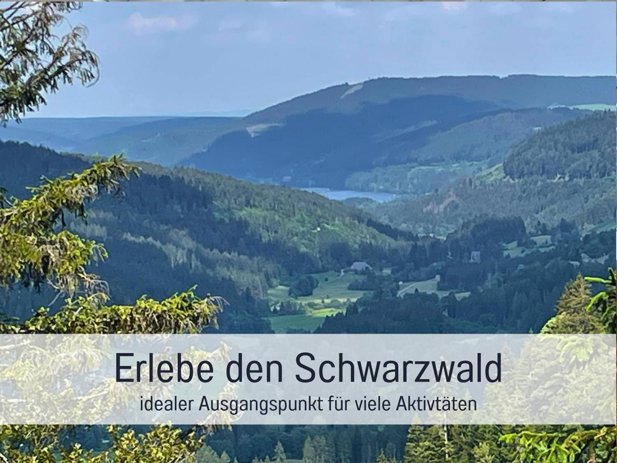 Ferienwohnungen Auszeit Langmatt ซูลซ์บูร์ก ภายนอก รูปภาพ
