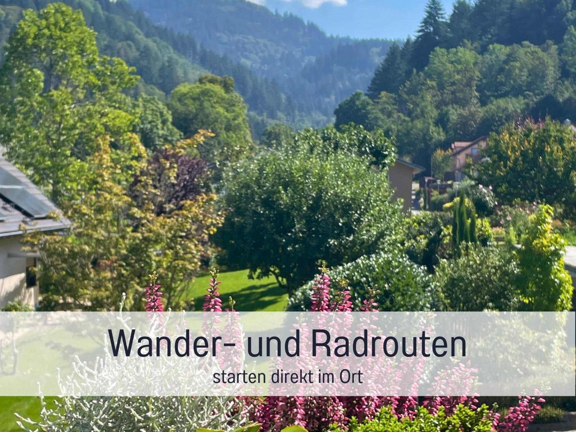 Ferienwohnungen Auszeit Langmatt ซูลซ์บูร์ก ภายนอก รูปภาพ