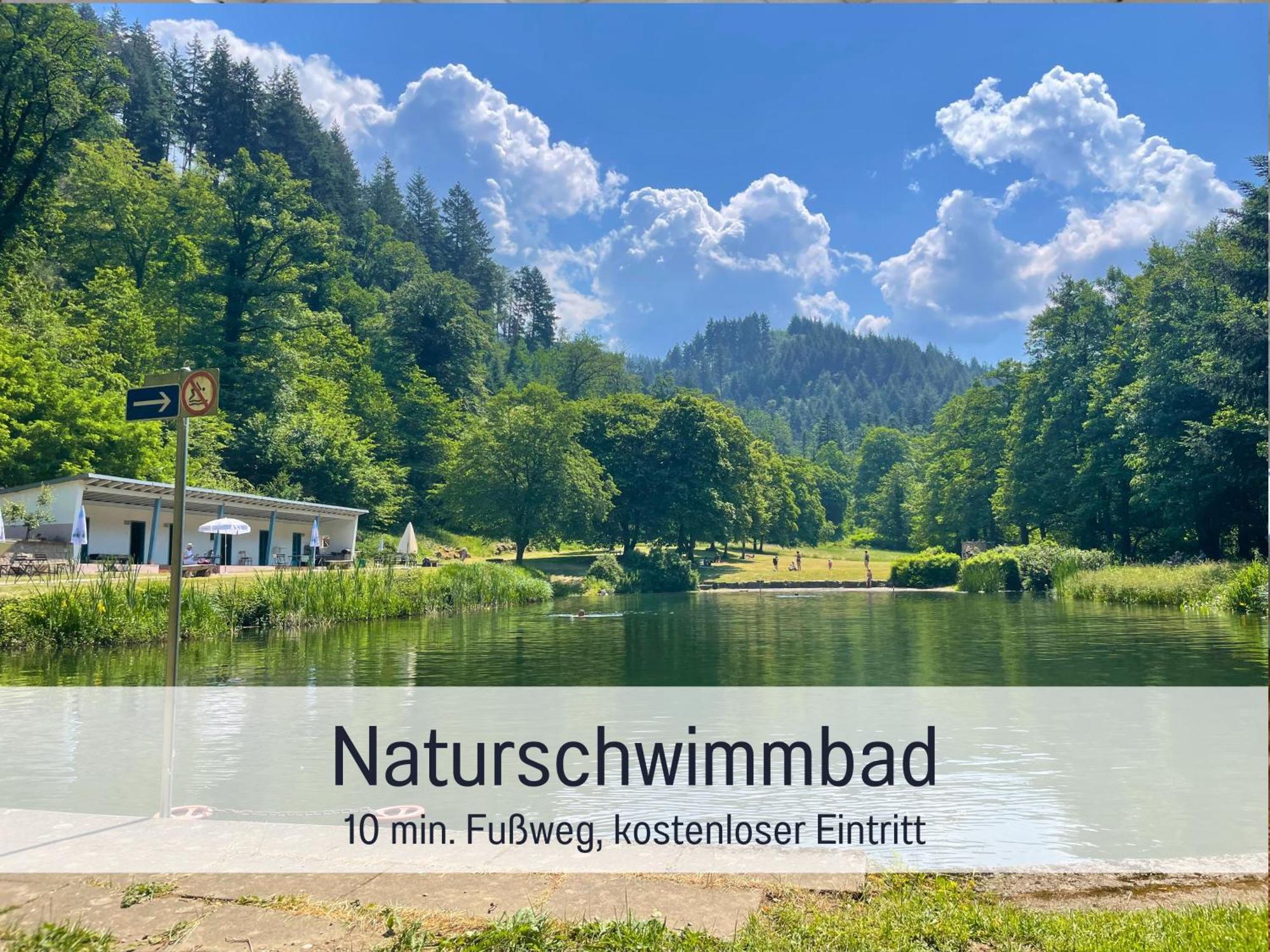 Ferienwohnungen Auszeit Langmatt ซูลซ์บูร์ก ภายนอก รูปภาพ