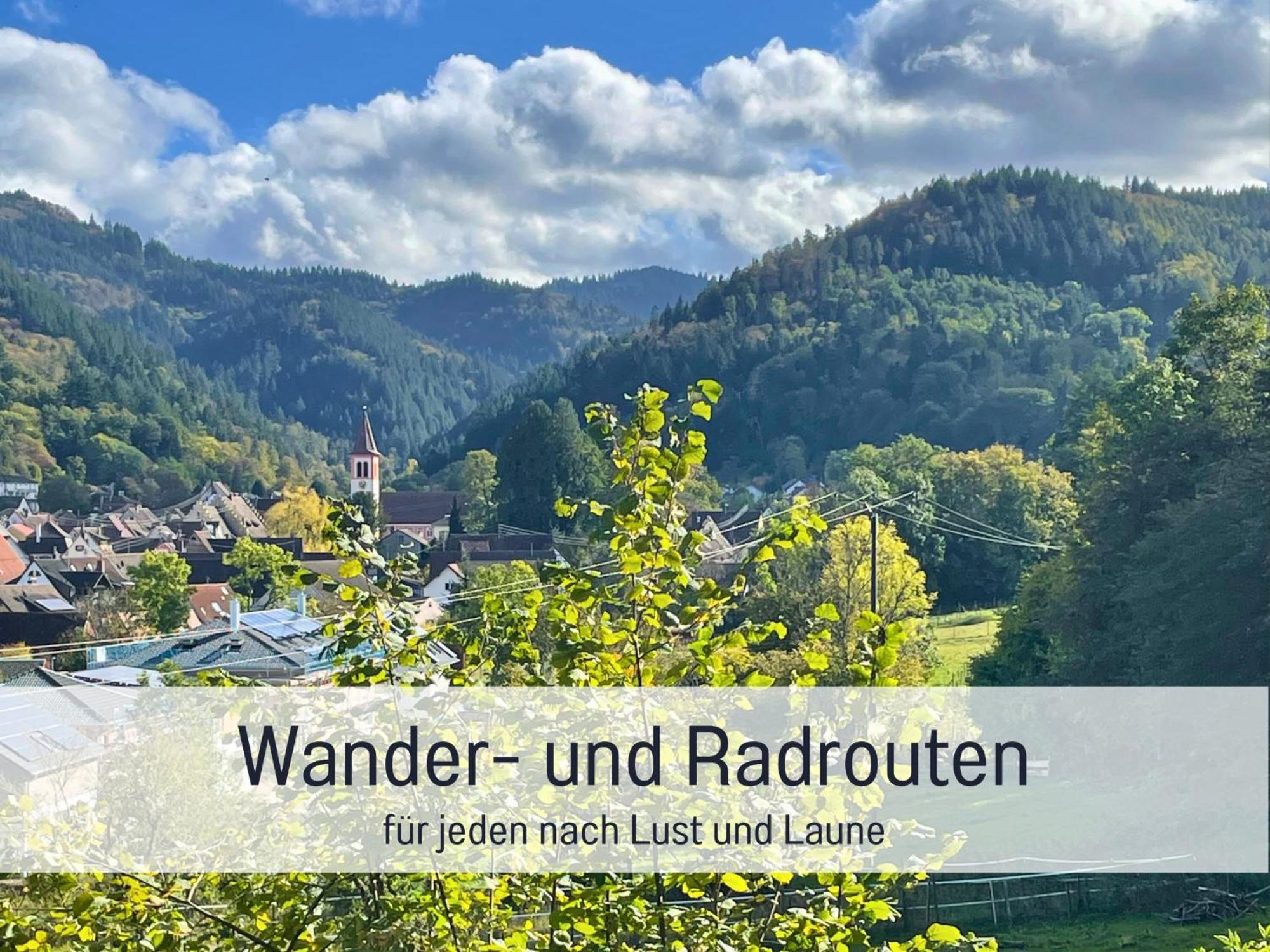 Ferienwohnungen Auszeit Langmatt ซูลซ์บูร์ก ภายนอก รูปภาพ