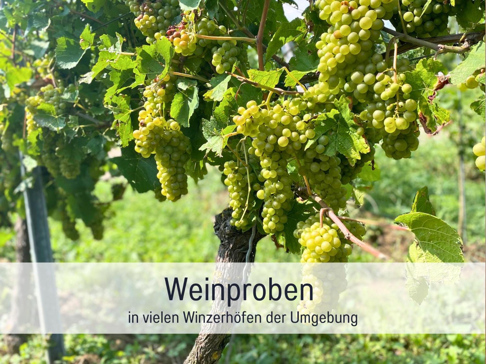 Ferienwohnungen Auszeit Langmatt ซูลซ์บูร์ก ภายนอก รูปภาพ