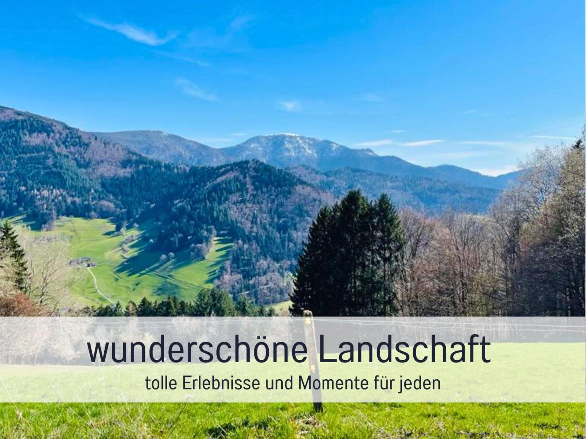 Ferienwohnungen Auszeit Langmatt ซูลซ์บูร์ก ภายนอก รูปภาพ